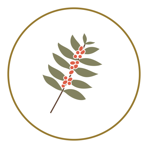 Vivero